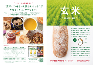 2024年8月みのりプラスリーフレット