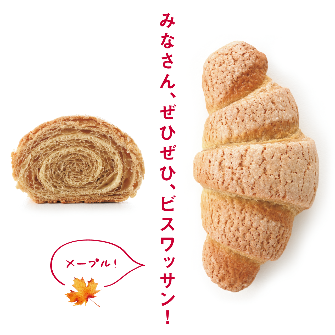 little リトルマーメイド LITTLE MERMAID ／ 焼き立てパンの店