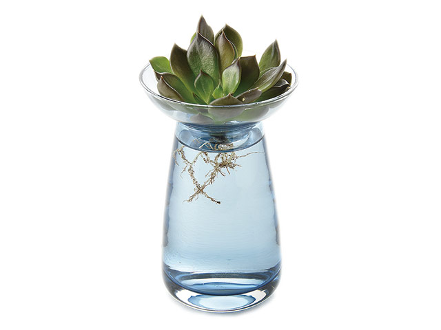 KINTO/AQUA CULTURE VASE ブルー（フラワーベース）｜マーガレット・クラブ記念品｜リトルマーメイド